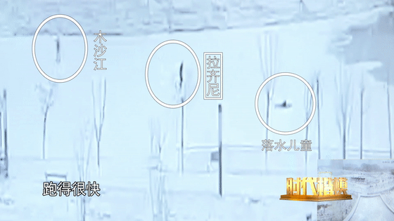 3.gif