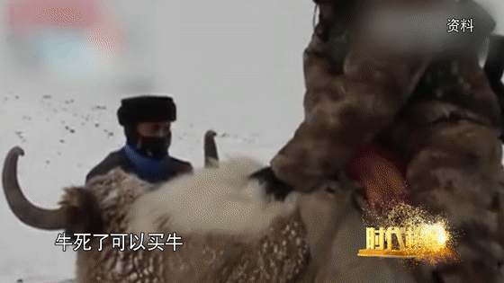 21.gif
